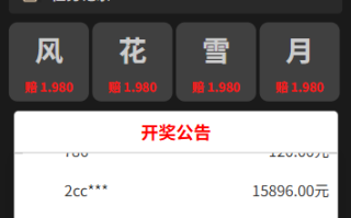 新版空降约/炮系统/同城任务/系统彩预设/前后端VUE