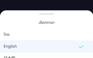 多语言交易所系统/期权/合约币币交易/IEO/质押